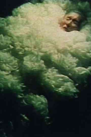 The Sleeping Flower Poster