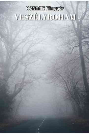 Veszélyroham poster