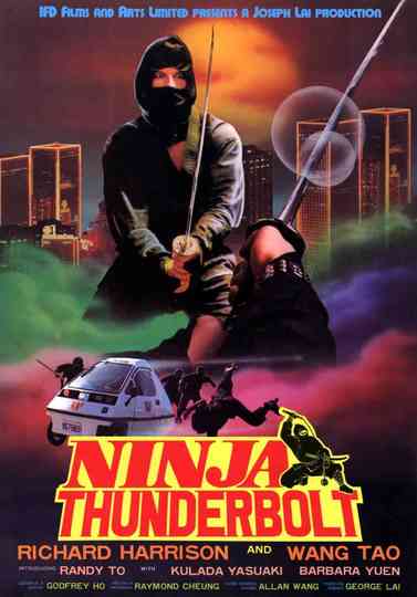 Ninja Thunderbolt Poster