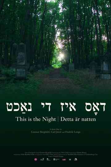 This Is the Night Poster
