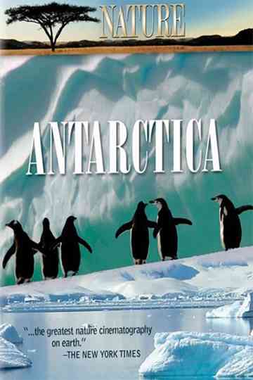 Under Antarctic Ice Poster