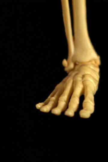 My Summer with Raúl Poster