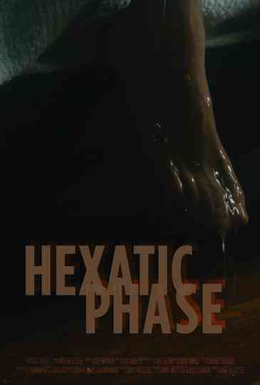 Hexatic Phase Poster