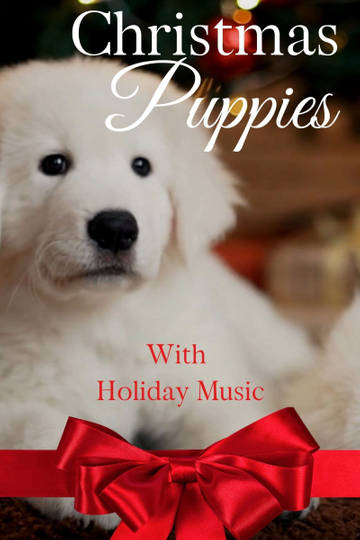 Christmas Puppies Poster