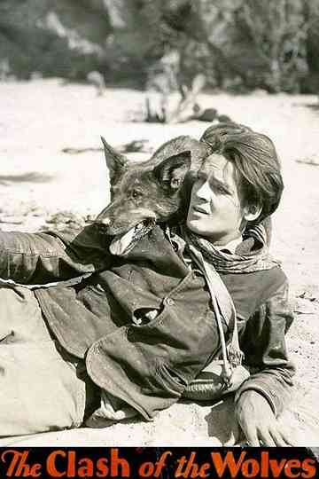 Clash of the Wolves Poster