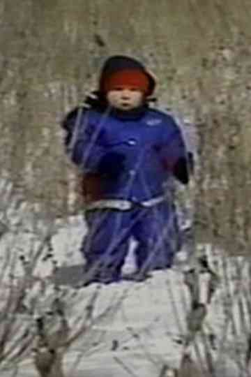 The Last of the Nepinaks Poster