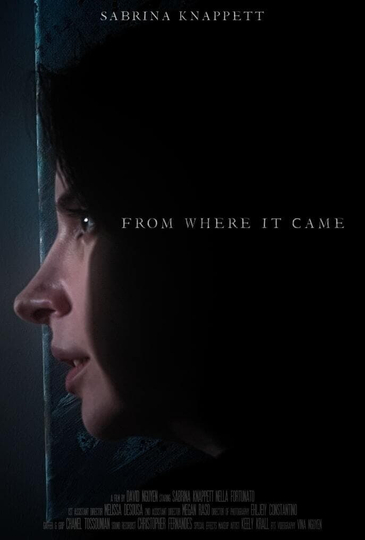 From Where It Came Poster