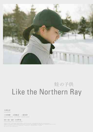 Like the Northern Ray Poster