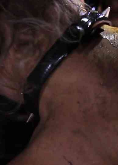 The Pornographer Poster