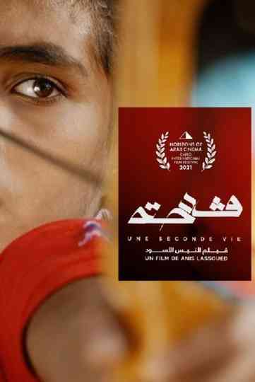 A Second Life Poster