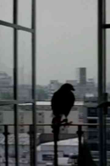 El otro cuarto Poster