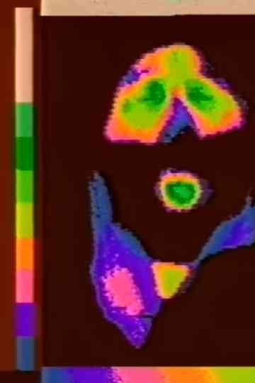 Paris mis à nu Poster