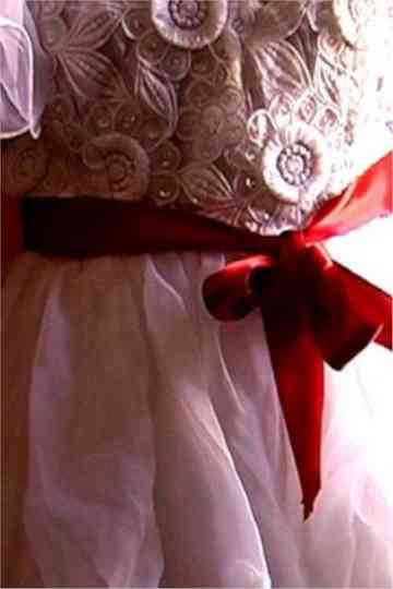 dilbers' wedding Poster