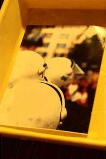 state of potential slains Poster