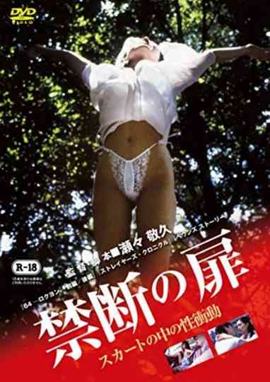 Forbidden Door: Sexual Urge in the Skirt Poster