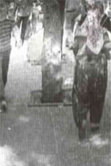 observation nest Poster