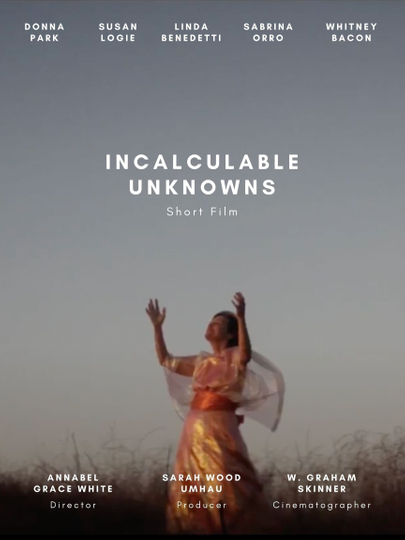 Incalculable Unknowns Poster