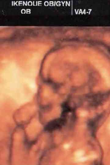 Take the Wind Poster