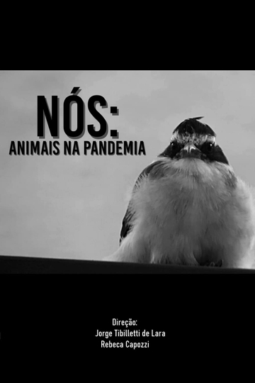 NÓS ANIMAIS NA PANDEMIA