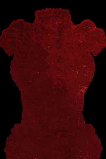 Untold Stories of Independent India Collection Poster