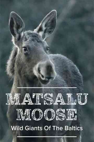 Matsalu Moose: Wild Giants of the Baltics Poster