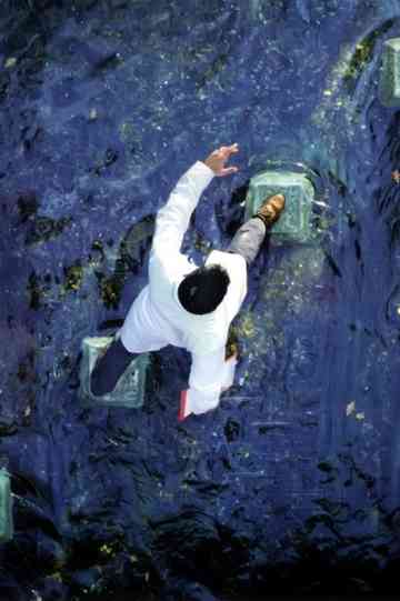 Alan Parsons - A valid path Poster