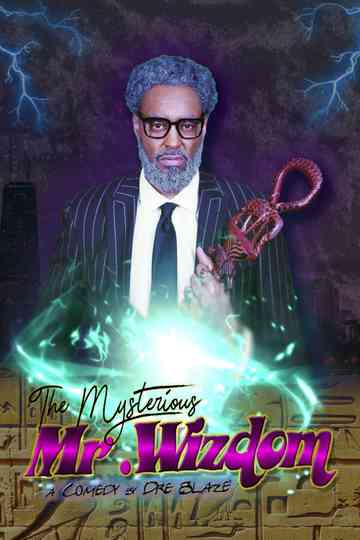 The Mysterious Mr. Wizdom Poster