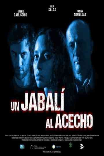 Un jabalí al acecho Poster