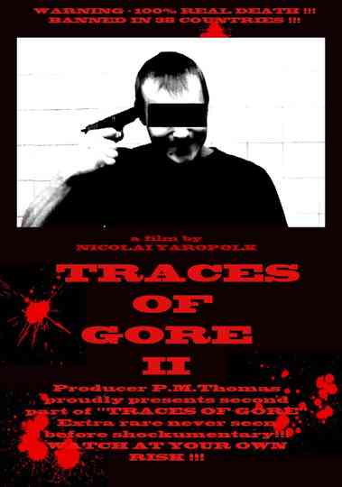 Traces of Gore II Poster