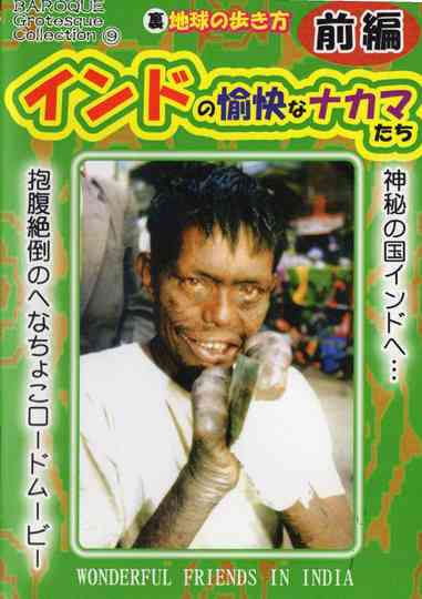 Wonderful Friends in India Part 1 poster