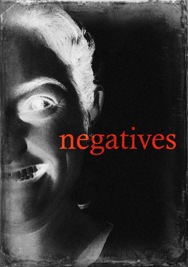 Negatives Poster