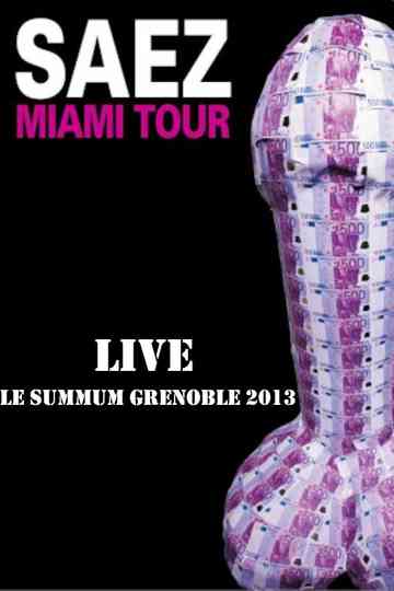 Damien Saez en live au Summum 2013 Poster