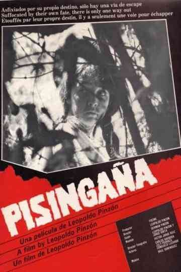 Pisingaña Poster