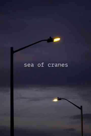 Sea of Cranes
