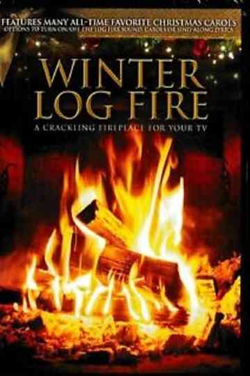 Winter Log Fire Poster