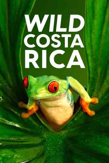 Wild Costa Rica Poster