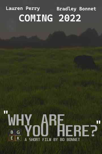 Why Are You Here Poster