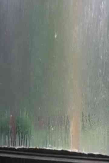 Fogged Windows Poster