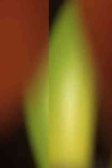 Stretch and Pull Poster