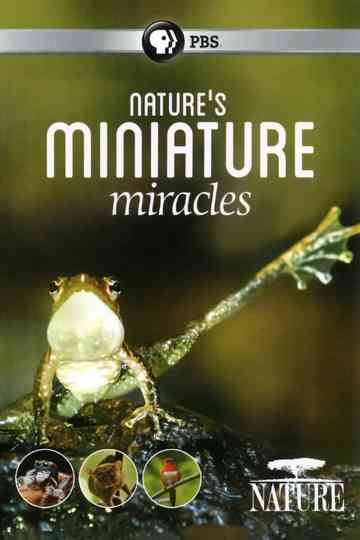 Nature's Miniature Miracles Poster