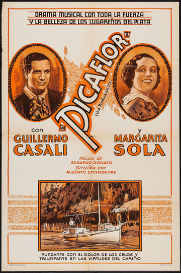 Picaflor Poster