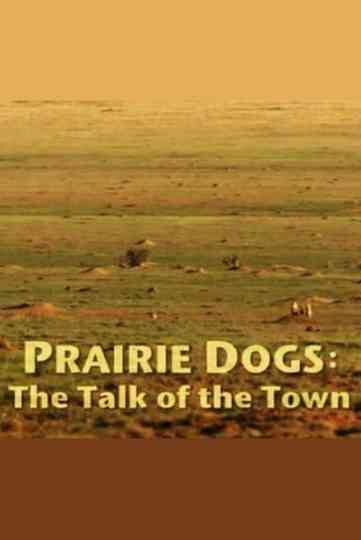 Prairie Dogs Talk of the Town Poster