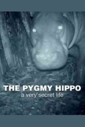 The Pygmy Hippo A Very Secret Life Poster
