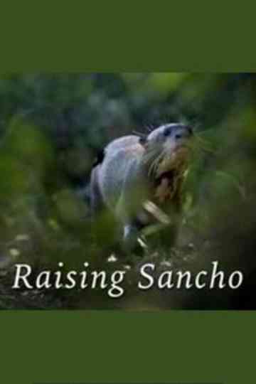 Raising Sancho Poster