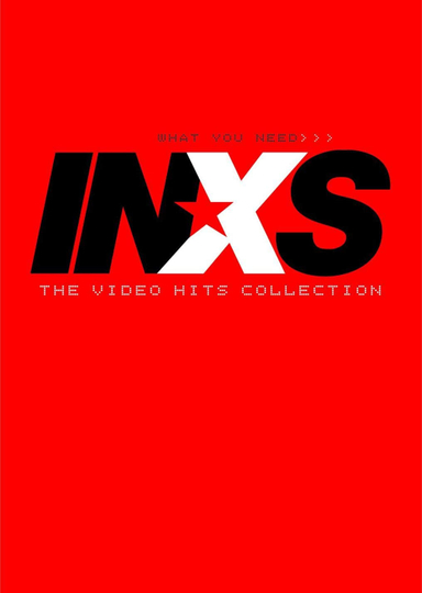 INXS  What You Need The Video Hits Collection