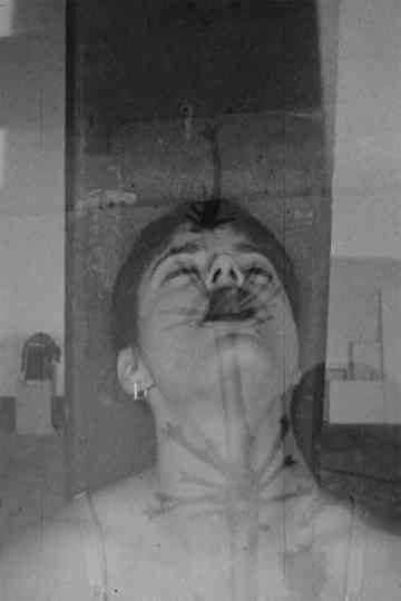 Safer Sexual Techniques in the Age of Mechanical Reproduction Poster