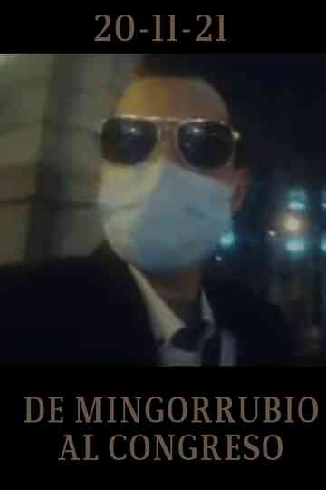 De Mingorrubio al Congreso Poster