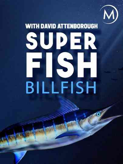 Superfish Poster
