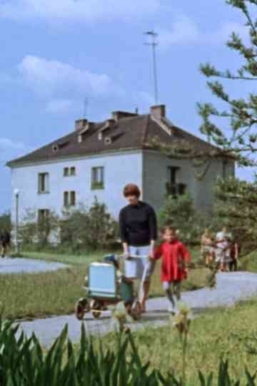 The Birth of a City Poster