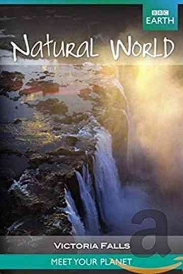 Victoria Falls: The Smoke That Thunders poster